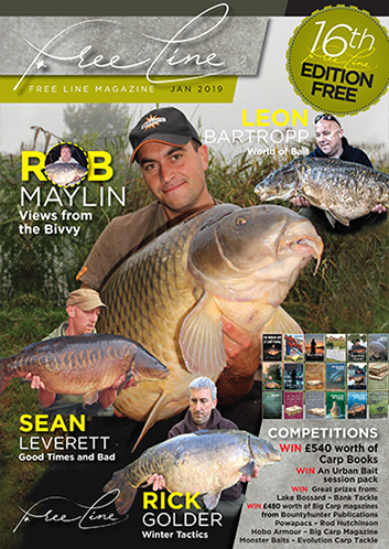 Freeline January 2019 cover image