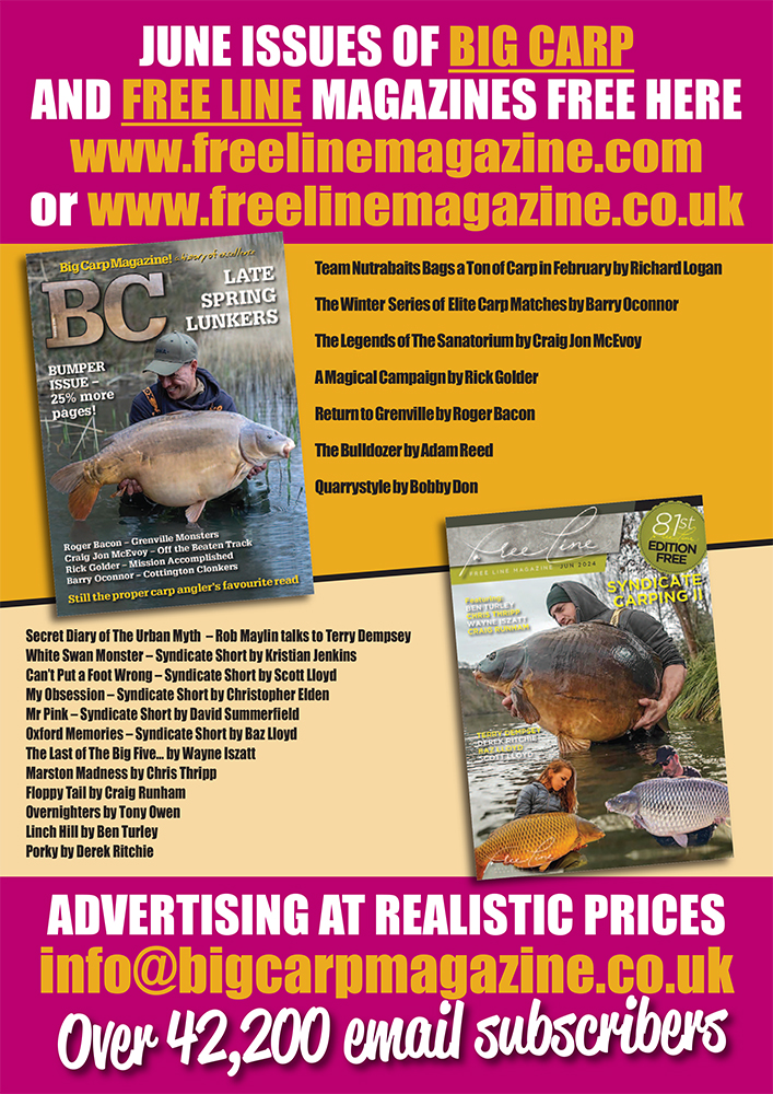 Freeline June 2024 cover image