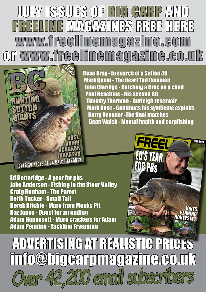 Freeline July 2024 cover image