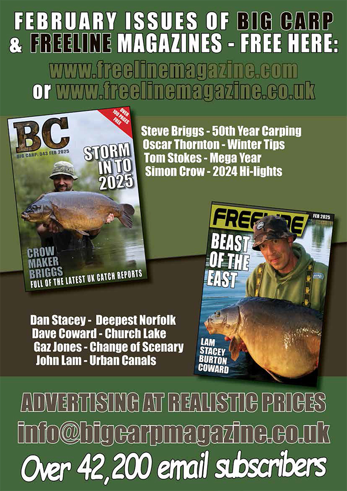 Freeline February 2025 cover image