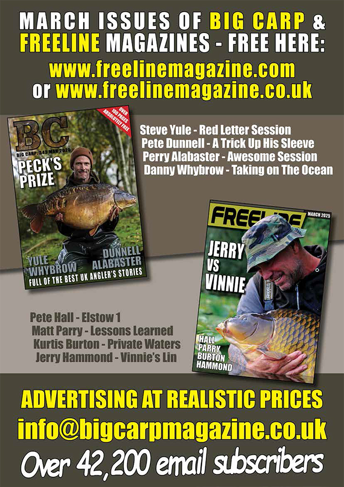 Freeline March 2025 cover image