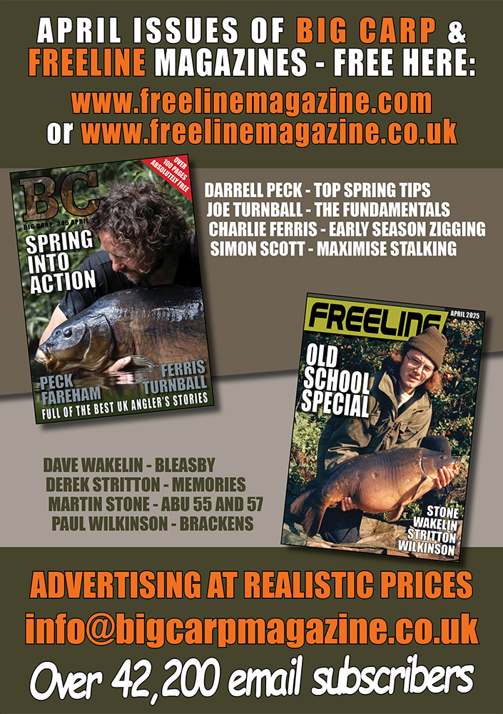 Freeline April 2025 cover image